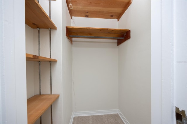 walk in closet with carpet floors