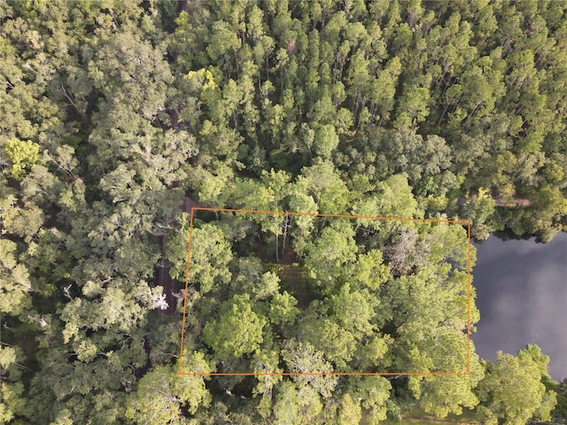 TBD NW 5th St, Micanopy FL, 32667 land for sale