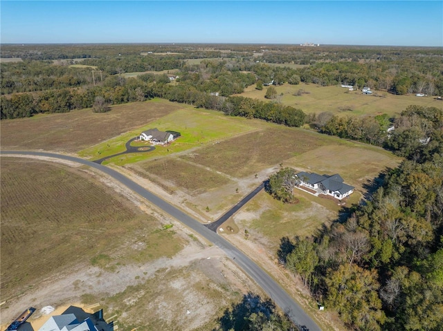 19083 SW 21st Pl, Newberry, FL 32669 - photo 4