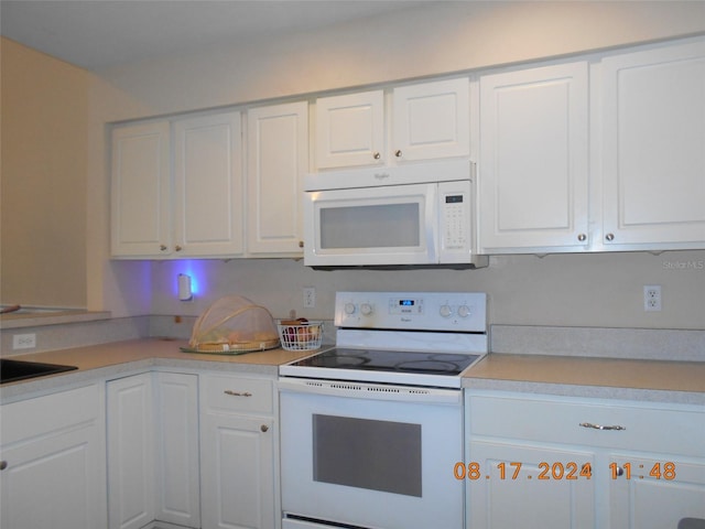 10836 NW 65th Way, Alachua, FL 32615 - photo 2