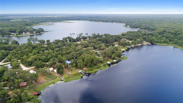 drone / aerial view with a water view and a view of trees