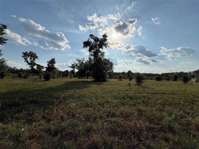 TBD NW 264th Way, High Springs, FL 32643 - photo 2