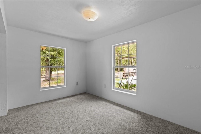 unfurnished room with carpet floors and a wealth of natural light