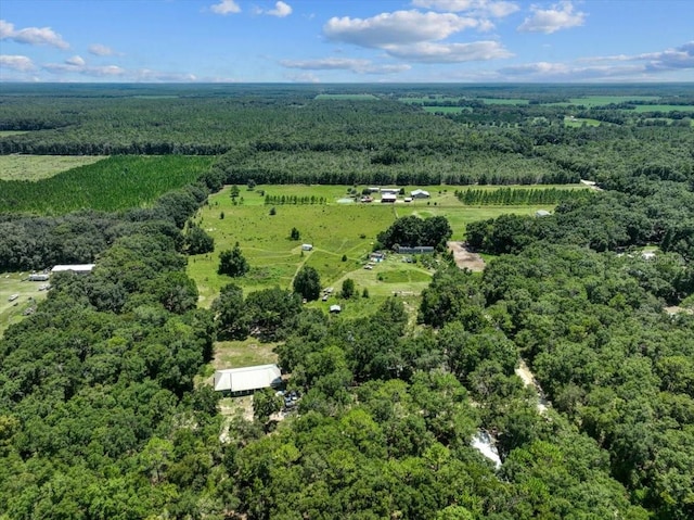 7340 NW 21st Ave, Bell, FL 32619 - aerial view with a rural view and a forest view