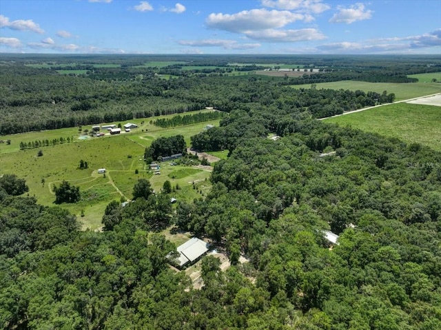 bird's eye view