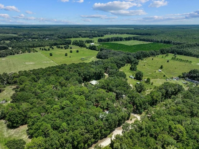 7340 NW 21st Ave, Bell, FL 32619 - drone / aerial view with a wooded view
