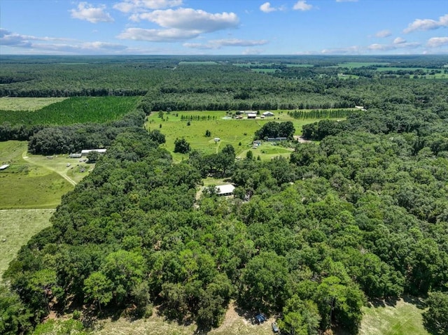 7340 NW 21st Ave, Bell, FL 32619 - drone / aerial view with a view of trees