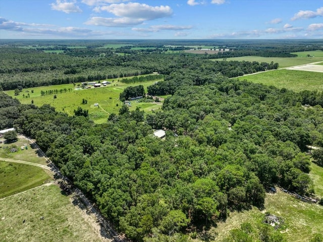 7340 NW 21st Ave, Bell, FL 32619 - drone / aerial view featuring a rural view and a forest view