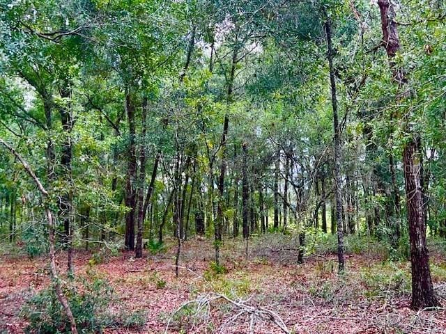 7340 NW 21st Ave, Bell, FL 32619 - view of nature with a wooded view