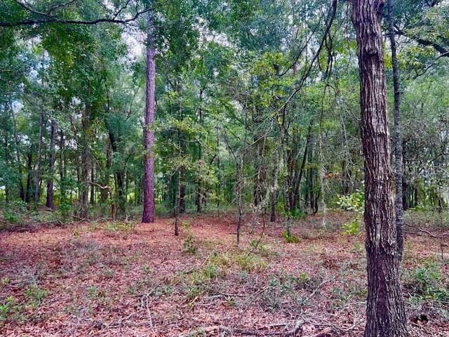 7340 NW 21st Ave, Bell, FL 32619 - view of landscape featuring a wooded view