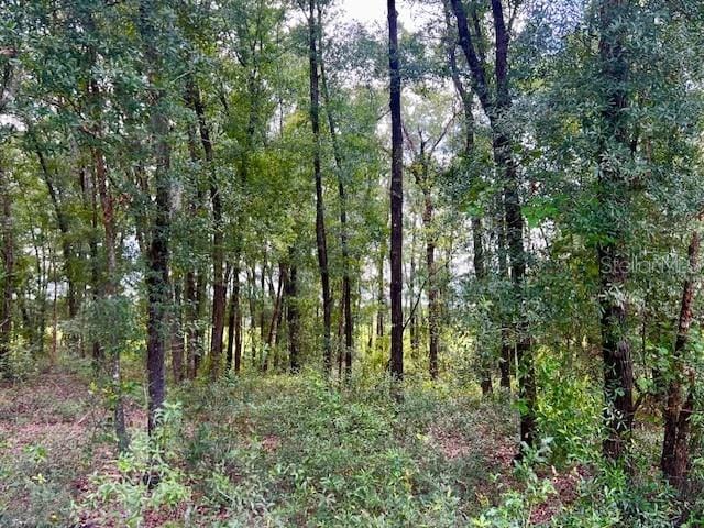 7340 NW 21st Ave, Bell, FL 32619 - view of local wilderness with a wooded view