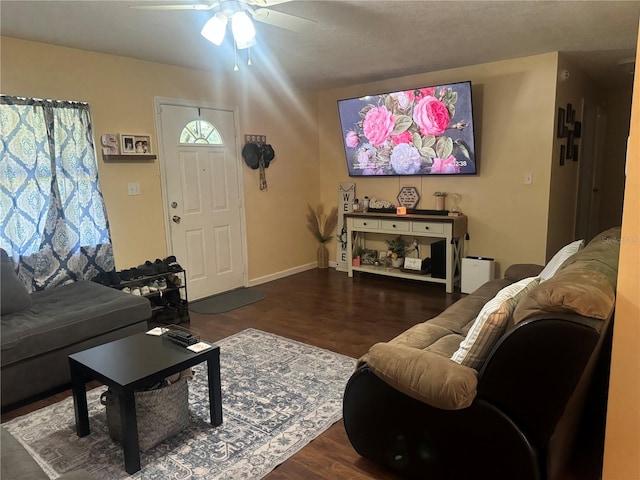 living room with ceiling fan and wood-type flooring