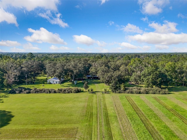 drone / aerial view with a rural view