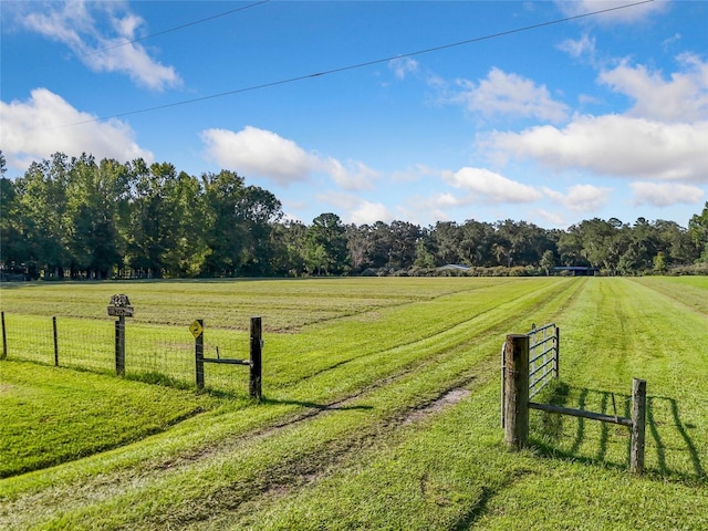 view of yard featuring a rural view