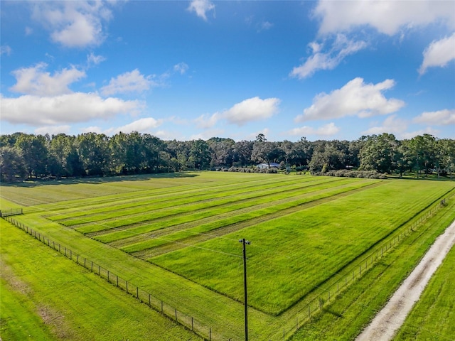 view of yard featuring a rural view