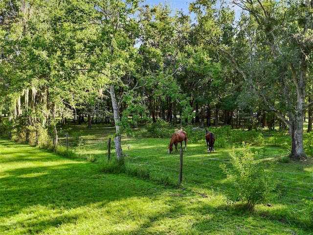 view of home's community with a lawn