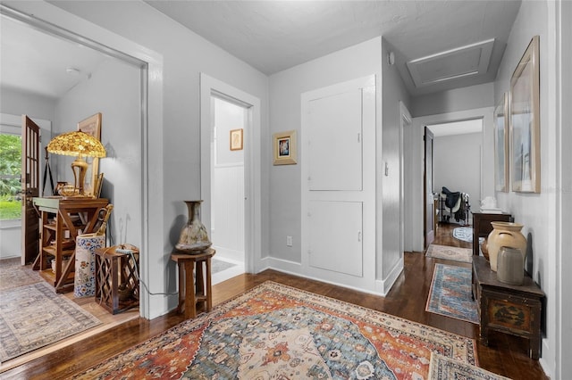 hallway featuring dark wood-type flooring