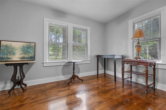 misc room with dark hardwood / wood-style floors and a healthy amount of sunlight