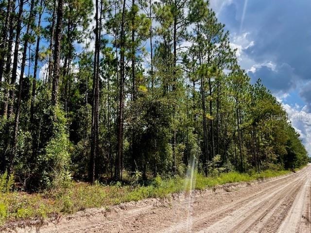 NW 65th St, Bell FL, 32619 land for sale