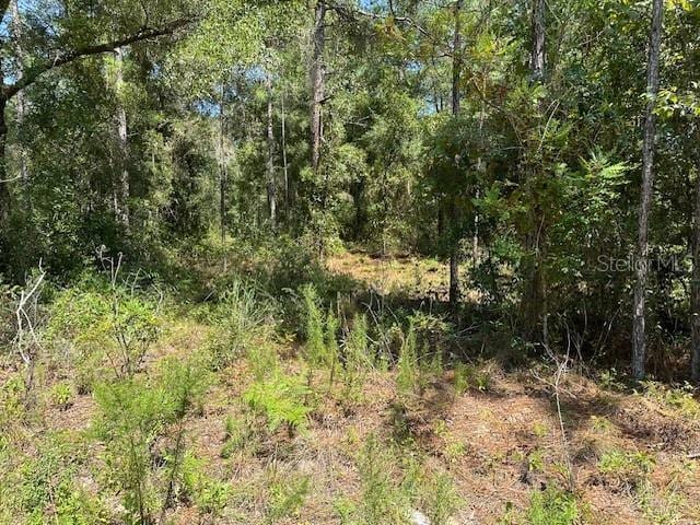0 NE 155th Ter, Williston, FL 32696 - photo 5