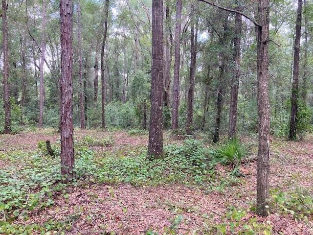 Listing photo 2 for LOT2 SW 170th St, Archer FL 32618