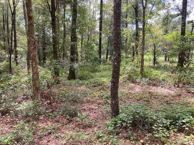 Listing photo 2 for LOT3 SW 67th Pl, Archer FL 32618