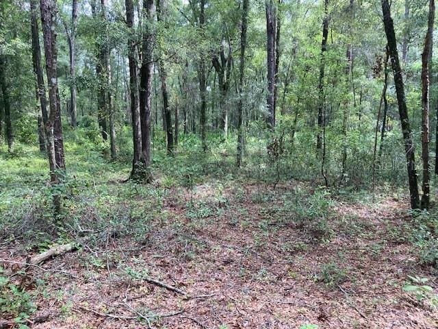 Listing photo 3 for LOT3 SW 67th Pl, Archer FL 32618