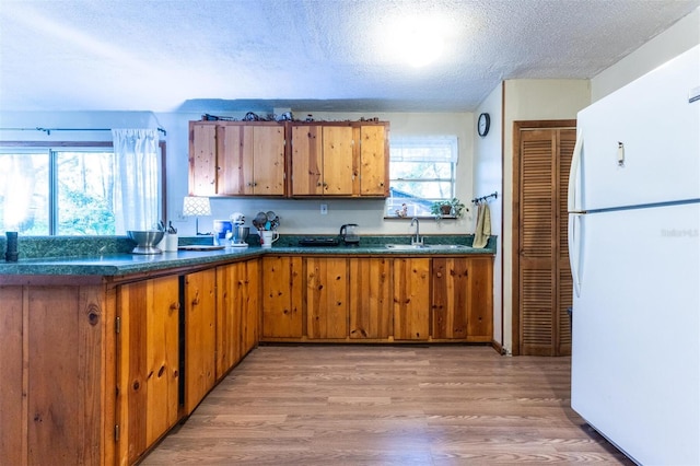 kitchen with a textured ceiling, light hardwood / wood-style floors, sink, and white refrigerator