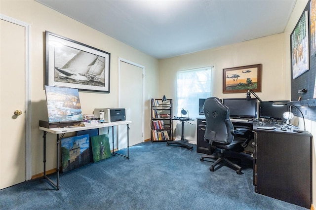 office space featuring carpet floors