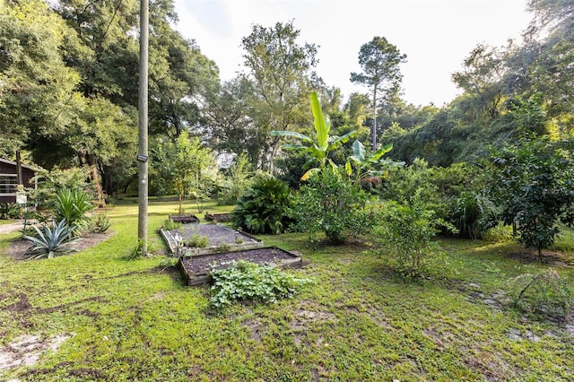27904 SW 114th Pl, Newberry, FL 32669 - photo 40