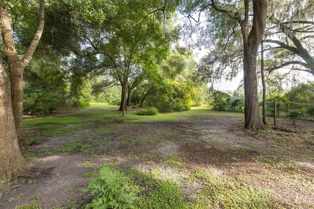 27904 SW 114th Pl, Newberry, FL 32669 - photo 42