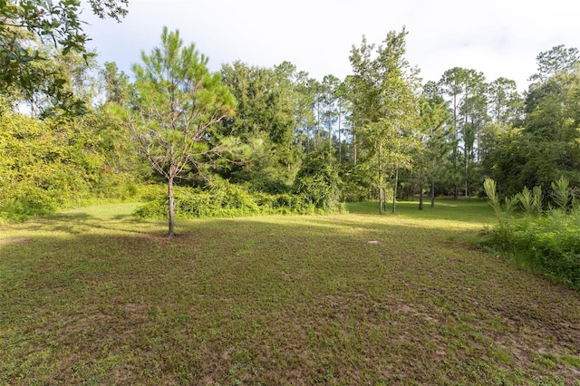 27904 SW 114th Pl, Newberry, FL 32669 - photo 44
