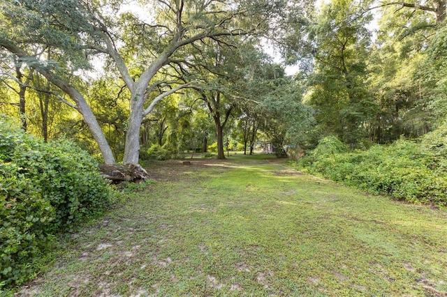 27904 SW 114th Pl, Newberry, FL 32669 - photo 45