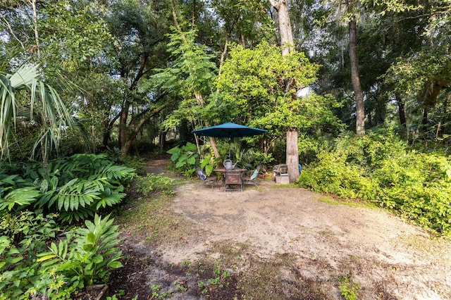 27904 SW 114th Pl, Newberry, FL 32669 - photo 41