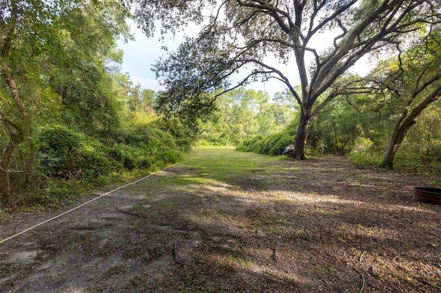 27904 SW 114th Pl, Newberry, FL 32669 - photo 43