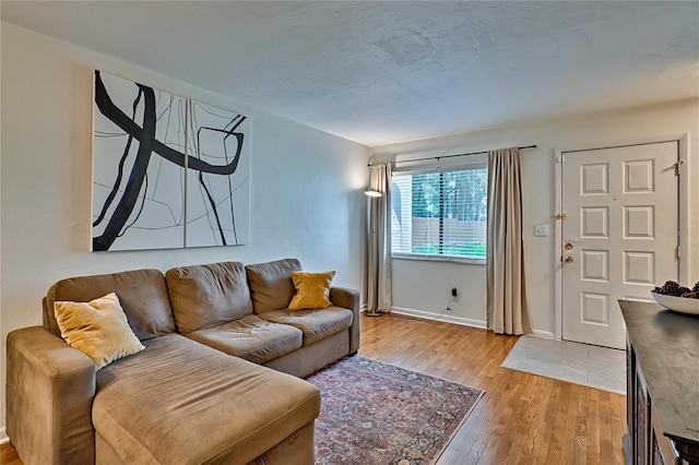 living room featuring hardwood / wood-style floors