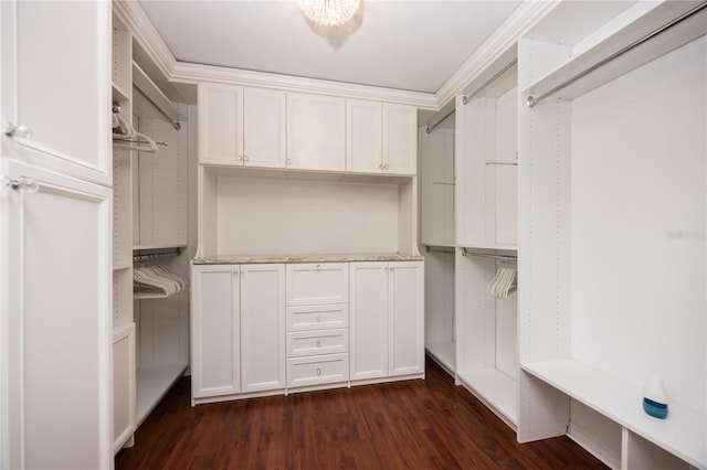 walk in closet with dark hardwood / wood-style flooring