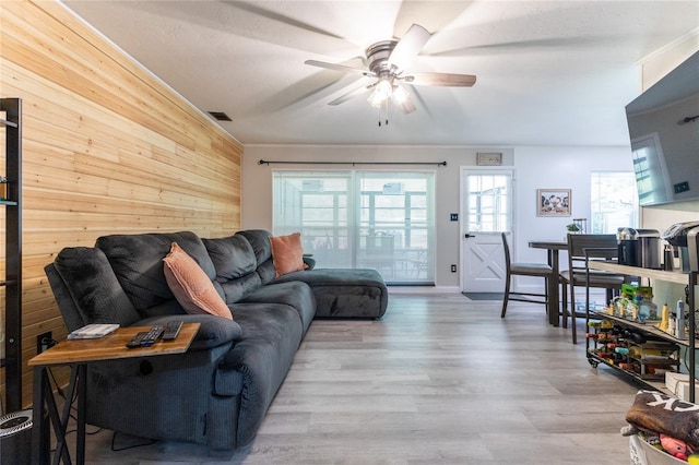 living room featuring ceiling fan, wood walls, visible vents, ornamental molding, and light wood finished floors