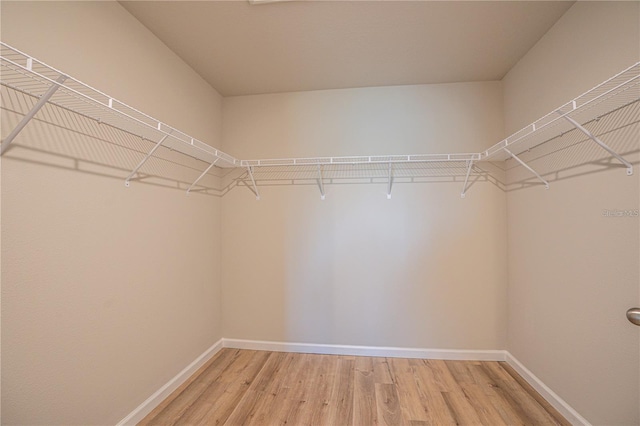 spacious closet with wood finished floors