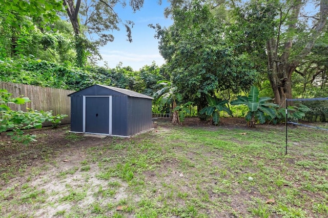 view of yard featuring a shed