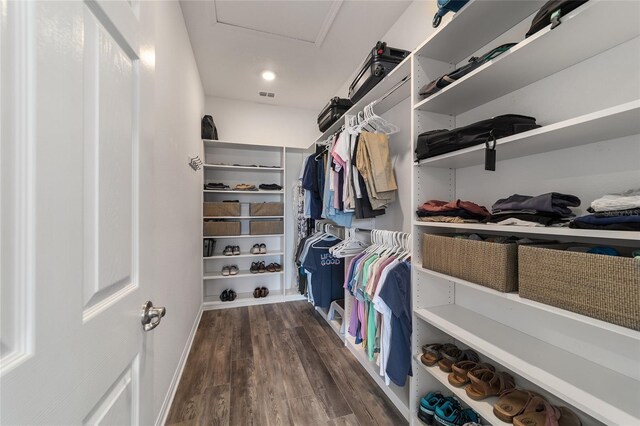 spacious closet featuring dark wood-type flooring