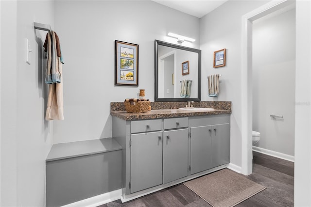 bathroom with vanity, toilet, and hardwood / wood-style flooring