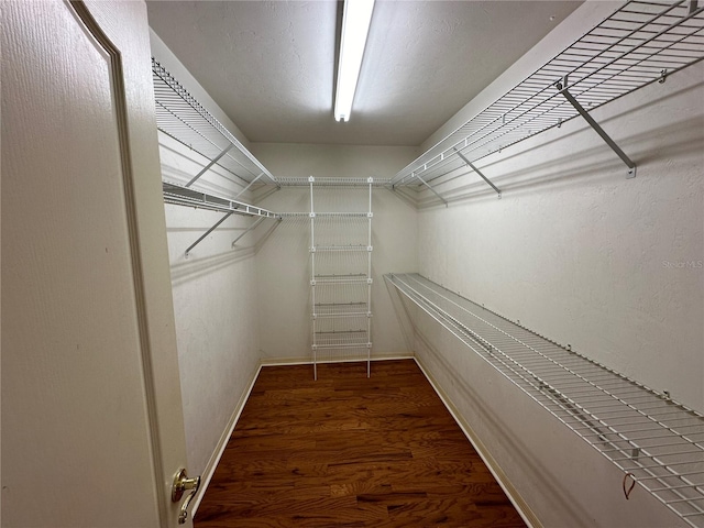 walk in closet featuring dark hardwood / wood-style floors