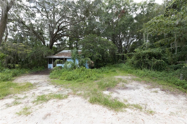 view of yard featuring a wooded view
