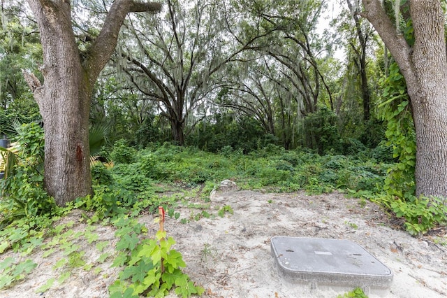 view of yard featuring a wooded view