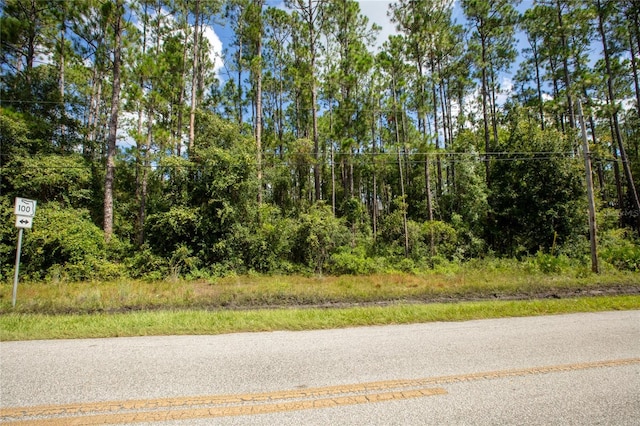 Listing photo 3 for SE State Road 100, Starke FL 32091