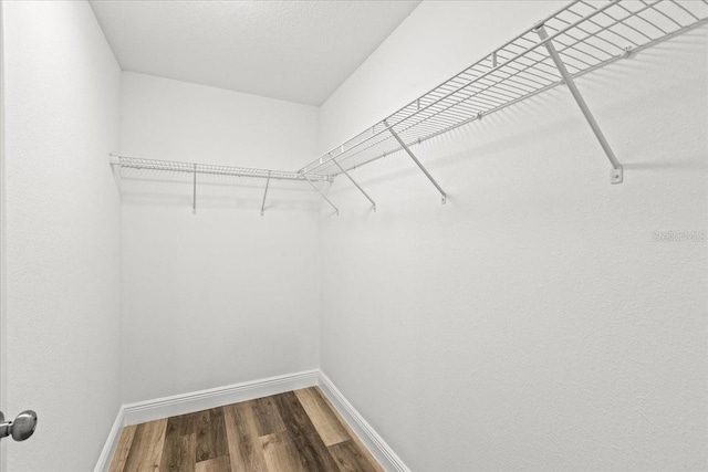 spacious closet with hardwood / wood-style flooring