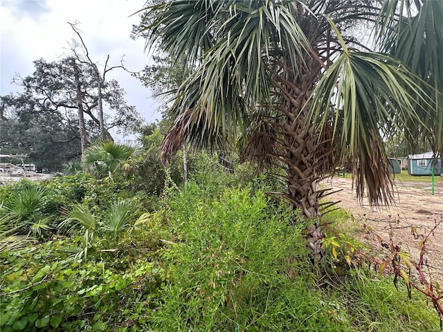 9 7th St NE, Steinhatchee, FL 32359