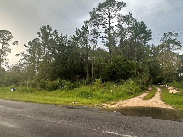 805 1st Ave SE, Steinhatchee, FL 32359