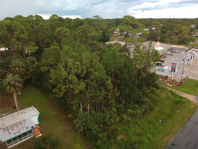 805 1st Ave SE, Steinhatchee FL, 32359 land for sale